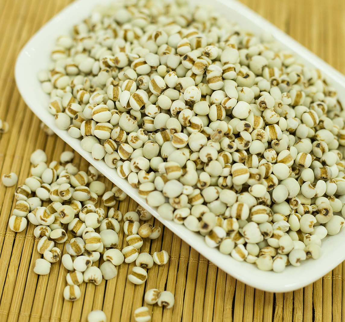薏苡仁2.png