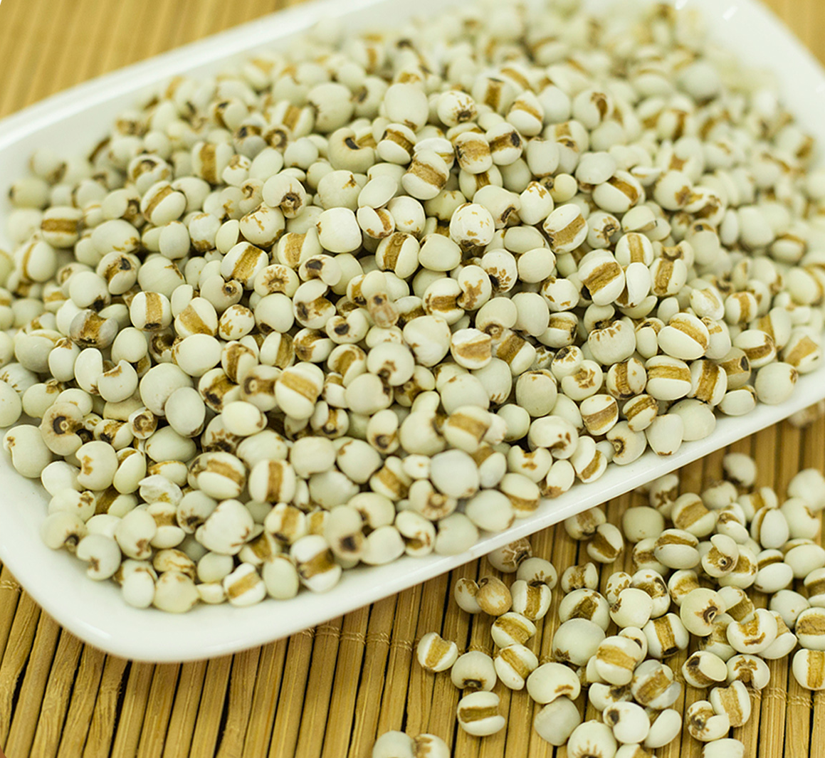 薏苡仁3.png